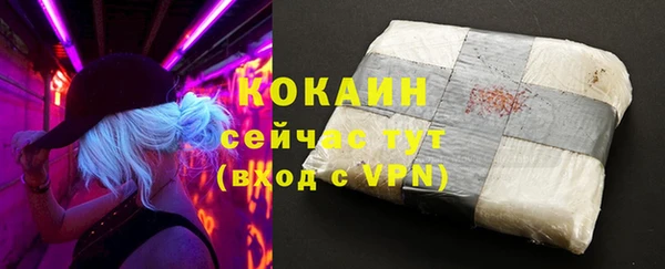 молекула духа Горно-Алтайск