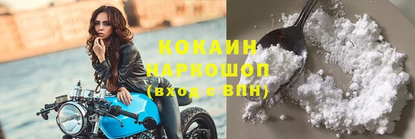 твердый Горняк
