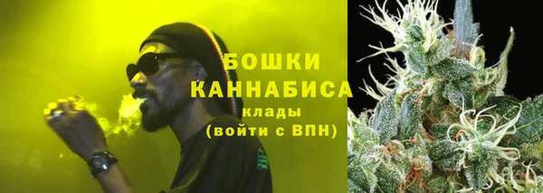 твердый Горняк
