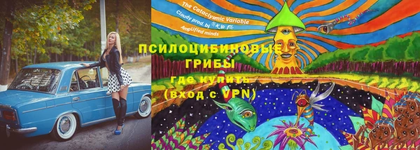 твердый Горняк