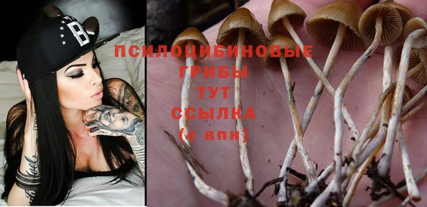 твердый Горняк
