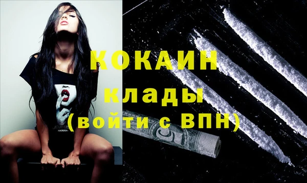 твердый Горняк